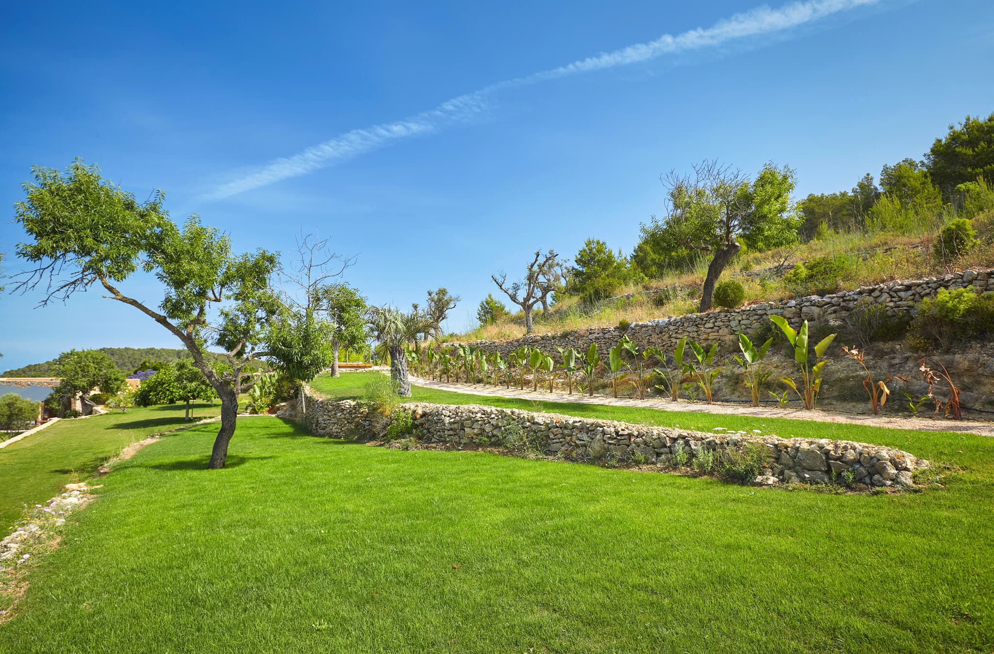 Villa Garden Peace 6